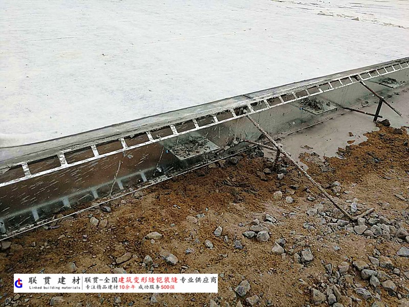温州市铠装缝案例